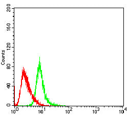 Figure 6:Flow cytometric analysis of Hela cells using RISP mouse mAb (green) and negative control (red).