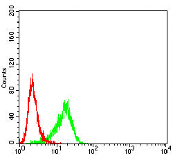 Figure 3:Flow cytometric analysis of Hela cells using COL2A1 mouse mAb (green) and negative control (red).