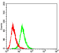 Figure 5:Flow cytometric analysis of Raji cells using HLA-DRB1 mouse mAb (green) and negative control (red).