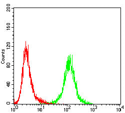 Figure 5:Flow cytometric analysis of Jurkat cells using IL10RB mouse mAb (green) and negative control (red).