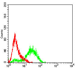 Figure 5:Flow cytometric analysis of Hela cells using SLC22A12 mouse mAb (green) and negative control (red).