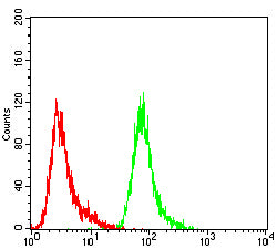 Figure 4:Flow cytometric analysis of Hela cells using LRRK2 mouse mAb (green) and negative control (red).