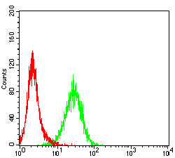 Figure 5:Flow cytometric analysis of THP-1 cells using CD88 mouse mAb (green) and negative control (red).