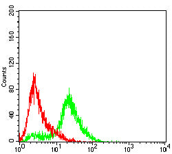 Figure 5:Flow cytometric analysis of Hela cells using SLC7A3 mouse mAb (green) and negative control (red).