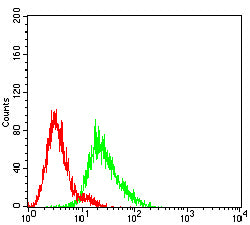 Figure 5:Flow cytometric analysis of HT-29 cells using NGB mouse mAb (green) and negative control (red).