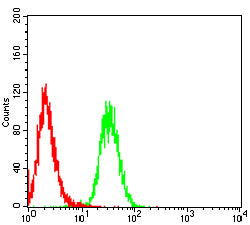 Figure 5:Flow cytometric analysis of HepG2 cells using PARK7 mouse mAb (green) and negative control (red).