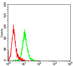 Figure 4:Flow cytometric analysis of HepG2 cells using NPM2 mouse mAb (green) and negative control (red).