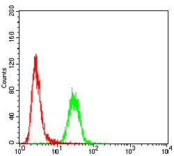 Figure 5:Flow cytometric analysis of Hela cells using MYOD1 mouse mAb (green) and negative control (red).