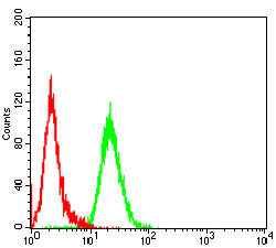 Figure 4:Flow cytometric analysis of Jurkat cells using MAP4K1 mouse mAb (green) and negative control (red).