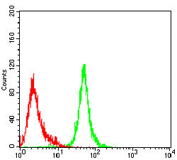 Figure 5:Flow cytometric analysis of HL-60 cells using ACAA1 mouse mAb (green) and negative control (red).