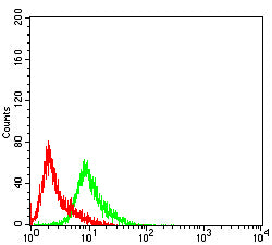 Figure 6:Flow cytometric analysis of Hela cells using KRT14 mouse mAb (green) and negative control (red).