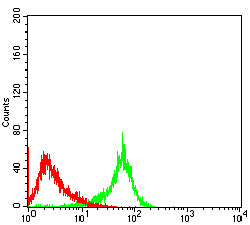 Figure 7:Flow cytometric analysis of Raji cells using CD156B mouse mAb (green) and negative control (red).