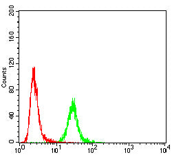 Figure 3:Flow cytometric analysis of Hela cells using H2AFX mouse mAb (green) and negative control (red).