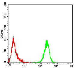 Figure 3:Flow cytometric analysis of HL-60 cells using EI2BG mouse mAb (green) and negative control (red).