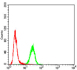 Figure 3:Flow cytometric analysis of Hela cells using TOP1 mouse mAb (green) and negative control (red).