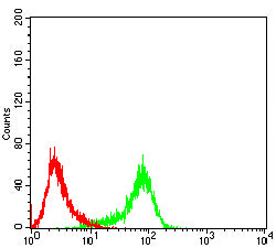 Figure 3:Flow cytometric analysis of Jurkat cells using RAD23B mouse mAb (green) and negative control (red).