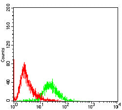 Figure 3:Flow cytometric analysis of HEK293 cells using PDXK mouse mAb (green) and negative control (red).