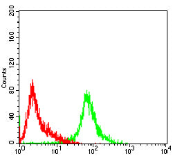 Figure 3:Flow cytometric analysis of Hela cells using MCM3 mouse mAb (green) and negative control (red).