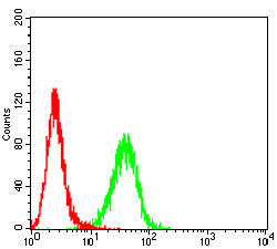 Figure 2:Flow cytometric analysis of Hela cells using RFA2 mouse mAb (green) and negative control (red).