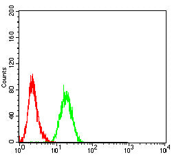 Figure 6:Flow cytometric analysis of PC-3 cells using HNF1B mouse mAb (green) and negative control (red).