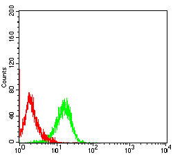 Figure 5:Flow cytometric analysis of Hek293 cells using NPM3 mouse mAb (green) and negative control (red).