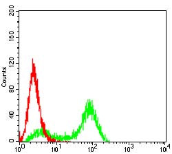 Figure 4:Flow cytometric analysis of Hela cells using S100A4 mouse mAb (green) and negative control (red).