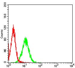 Figure 5:Flow cytometric analysis of Hela cells using PDHA1 mouse mAb (green) and negative control (red).