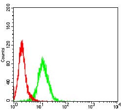 Figure 4:Flow cytometric analysis of Hela cells using PRL mouse mAb (green) and negative control (red).