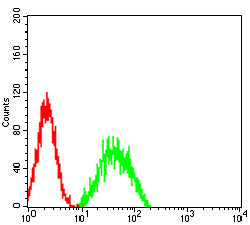 Figure 5:Flow cytometric analysis of Hela cells using NOTCH4 mouse mAb (green) and negative control (red).