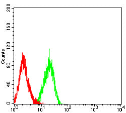 Figure 6:Flow cytometric analysis of Jurkat cells using NOTCH4 mouse mAb (green) and negative control (red).