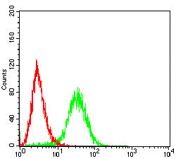 Figure 7:Flow cytometric analysis of Hela cells using PDHA1 mouse mAb (green) and negative control (red).