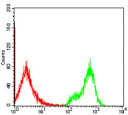 Figure 4:Flow cytometric analysis of Jurkat cells using S100A4 mouse mAb (green) and negative control (red).