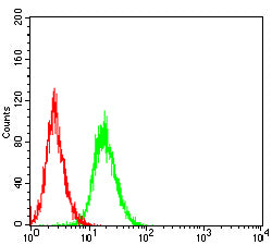 Figure 4:Flow cytometric analysis of Hela cells using IRF3 mouse mAb (green) and negative control (red).