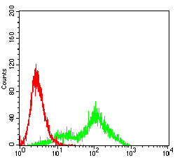 Figure 4:Flow cytometric analysis of Hela cells using HLA-DPA1 mouse mAb (green) and negative control (red).