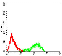 Figure 10:Flow cytometric analysis of Raji cells using CD54 mouse mAb (green) and negative control (red).