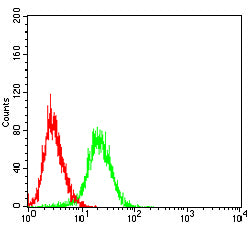 Figure 4:Flow cytometric analysis of Hela cells using ID3 mouse mAb (green) and negative control (red).