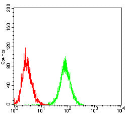 Figure 4:Flow cytometric analysis of Hela cells using NOTCH4 mouse mAb (green) and negative control (red).