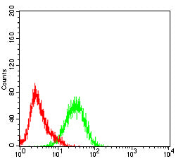 Figure 3:Flow cytometric analysis of RSC-96 cells using MUC13 mouse mAb (green) and negative control (red).