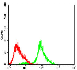 Figure 4:Flow cytometric analysis of Hela cells using ATM mouse mAb (green) and negative control (red).