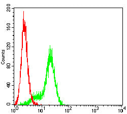 Figure 3:Flow cytometric analysis of HepG2 cells using CD360 mouse mAb (green) and negative control (red).