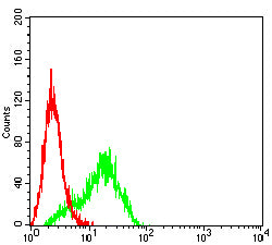 Figure 5:Flow cytometric analysis of A549 cells using ERCC1 mouse mAb (green) and negative control (red).