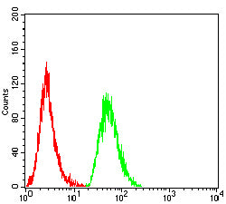 Figure 5:Flow cytometric analysis of HepG2 cells using KCNK1 mouse mAb (green) and negative control (red).