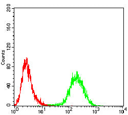 Figure 5:Flow cytometric analysis of HepG2 cells using ITGA1 mouse mAb (green) and negative control (red).