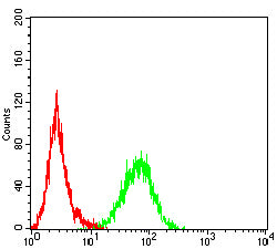 Figure 6:Flow cytometric analysis of U937 cells using SCARB1 mouse mAb (green) and negative control (red).