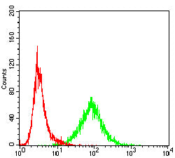 Figure 8:Flow cytometric analysis of Jurkat cells using USP7 mouse mAb (green) and negative control (red).