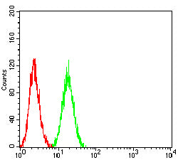 Figure 6:Flow cytometric analysis of K562 cells using CD32B mouse mAb (green) and negative control (red).