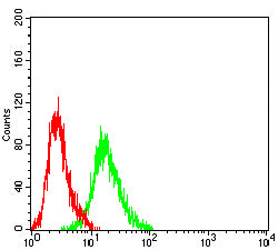 Figure 5:Flow cytometric analysis of Hela cells using TIMD4 mouse mAb (green) and negative control (red).