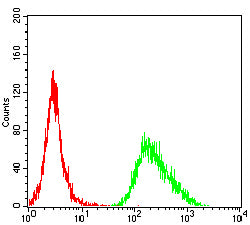 Figure 5:Flow cytometric analysis of MOLT4 cells using CCR10 mouse mAb (green) and negative control (red).