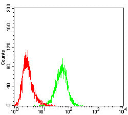 Figure 2:Flow cytometric analysis of HL-60 cells using CD205 mouse mAb (green) and negative control (red).