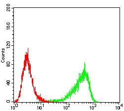 Figure 6:Flow cytometric analysis of U937 cells using CD300F mouse mAb (green) and negative control (red).